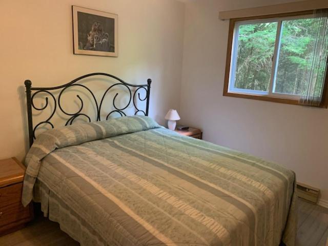Sunny Birch Cottages 萨波海滩 客房 照片